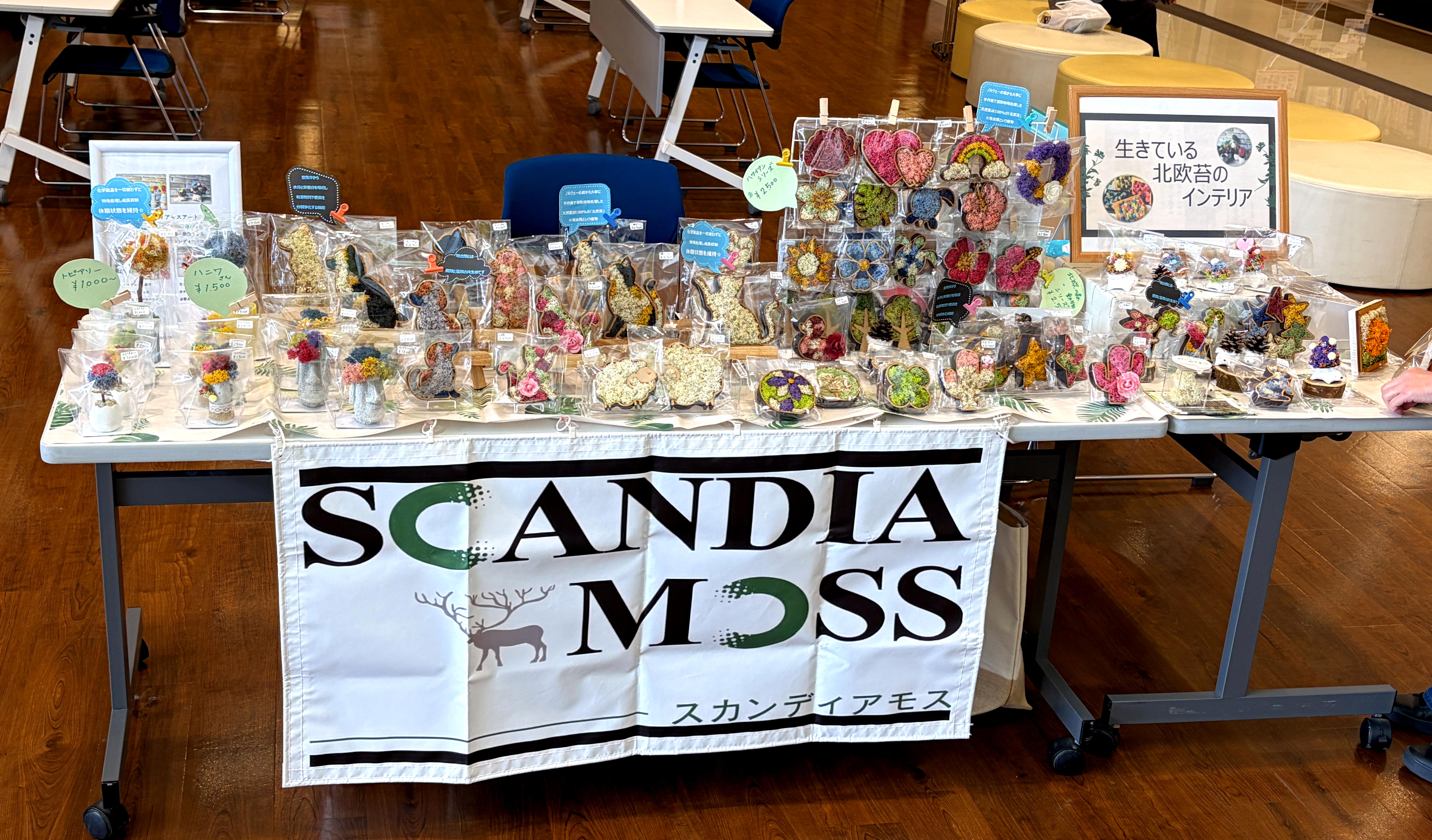 アイキャッチ画像